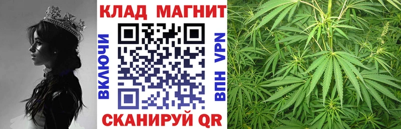 Названия наркотиков Уварово Кокаин МЕФ Героин Каннабис ГАШ Псилоцибиновые грибы