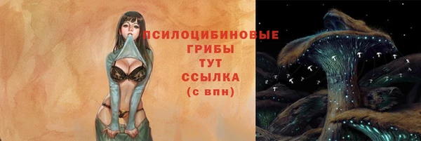 хмурый Алзамай
