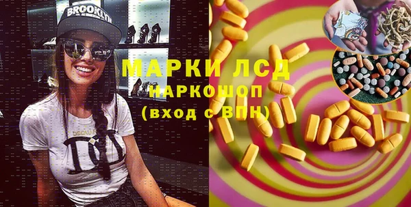 хмурый Алзамай