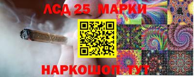 таблы Новозыбков