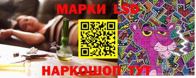 спиды Новодвинск