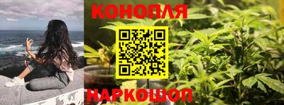 спиды Новодвинск