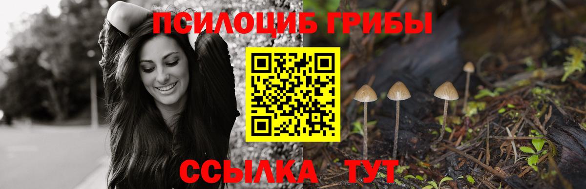 Галлюциногенные грибы мицелий  Галлюциногенные грибы Cubensis  Уварово  Вход с VPN 